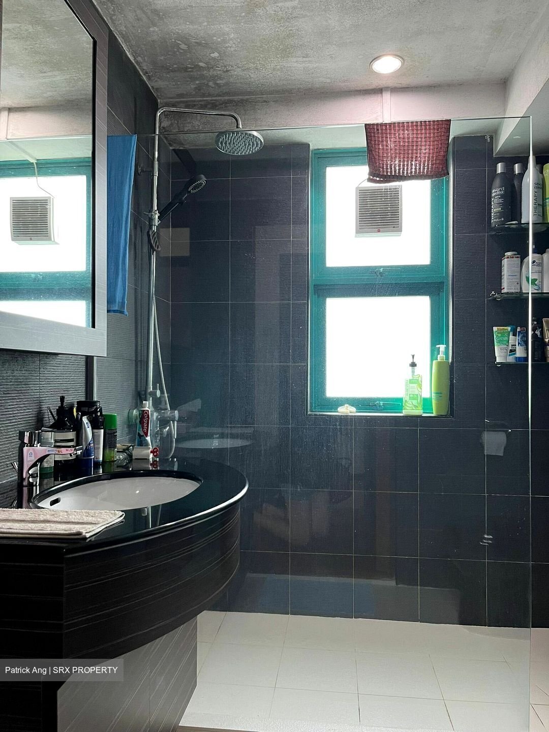 Celadon View (D17), Apartment #456791351